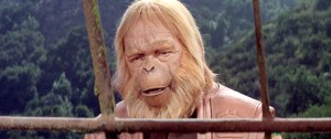 Planet Of The Apes pic 3
