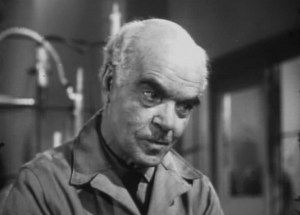 The Wasp Woman pic 1