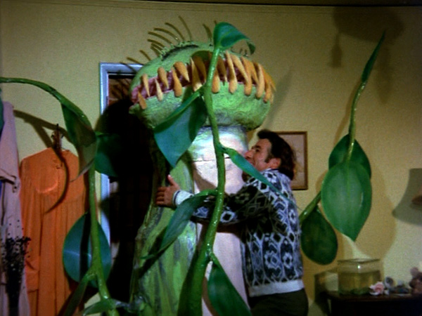 Please Don't Eat My Mother