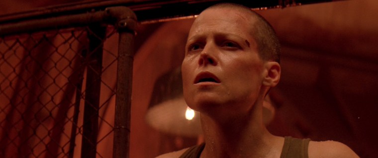 Listen missus, it sounded like a good metaphor at the time and I can't be bothered changing it now, so don't look confused like that. Besides, you've got bigger shite to worry about