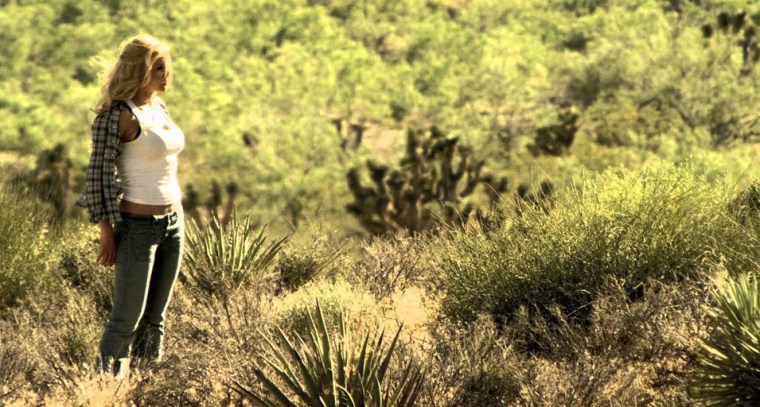 She also played Areola, the naked transfer student, in Not Another Teen Movie. But that's not important just now