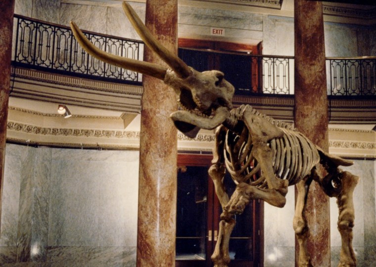 The stop-motion effects here are pretty good, make no bones about it. BONES! HAHAHAHA look, I've had a busy day at work, just fucking drop it