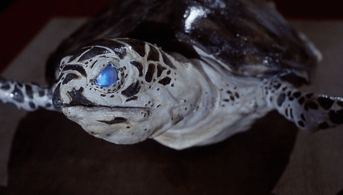 It's an evil turtle, you see. Don't expect me to explain it