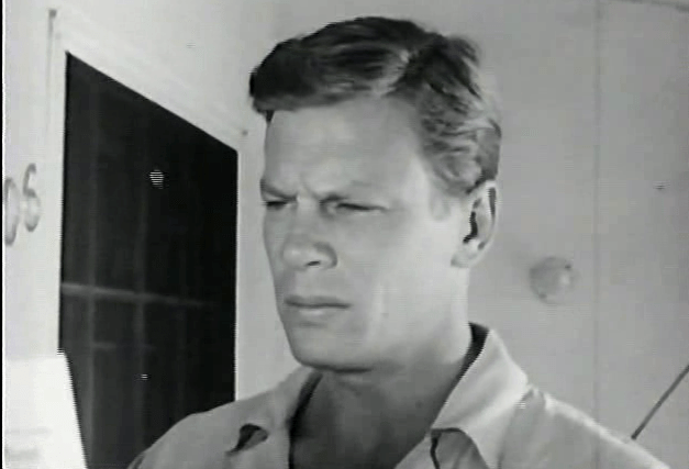 The latest Miley Cyrus video didn't impress Steve too much