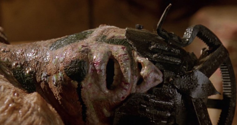 "Okay guys, here's my no-makeup selfie! Thx for the nomination Sandra ya bitch lol jk luv ya bbs xxx"