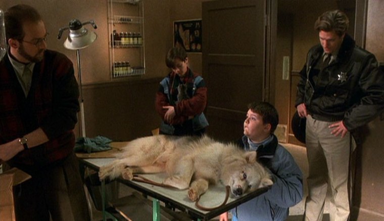 This year's Crufts entrants left a lot to be desired