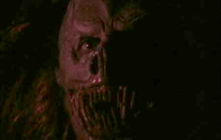 The new hot sauce Simon had bought certainly had a kick to it